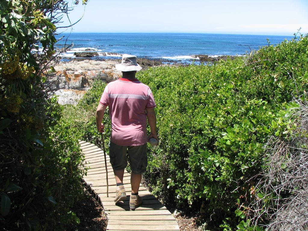 Bella Vista Onrus Villa Hermanus Eksteriør billede