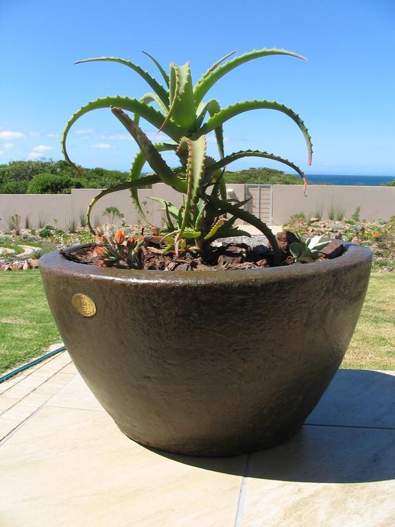 Bella Vista Onrus Villa Hermanus Eksteriør billede